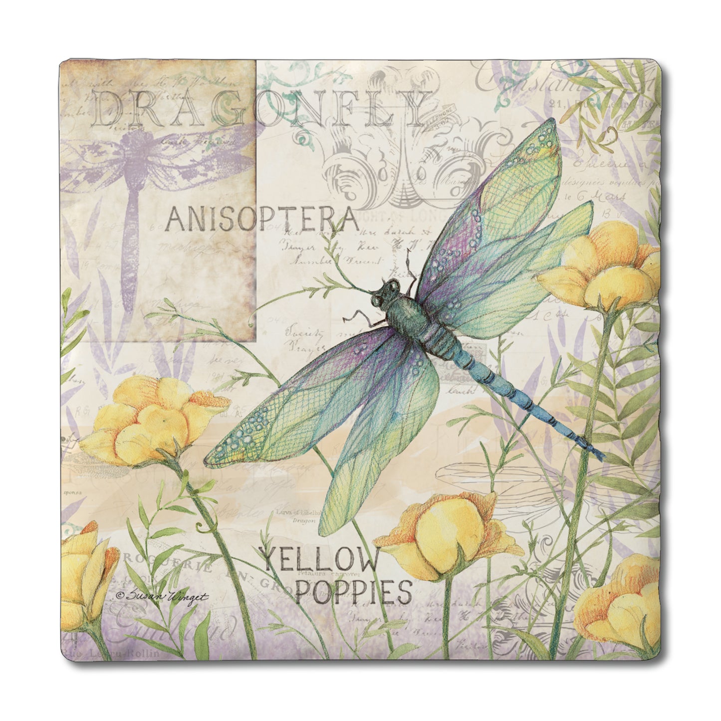 Absorbent Square Coasters