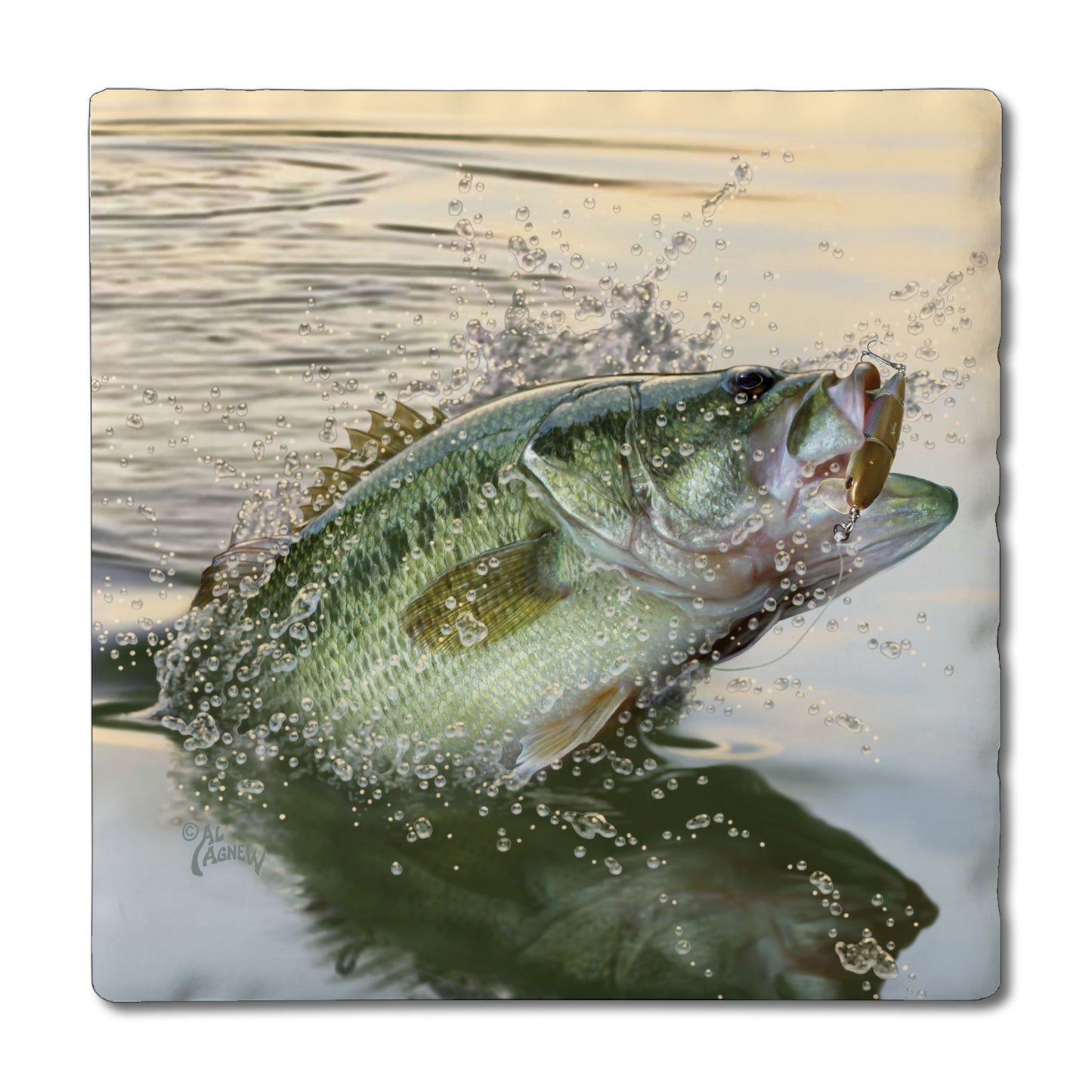 Absorbent Square Coasters