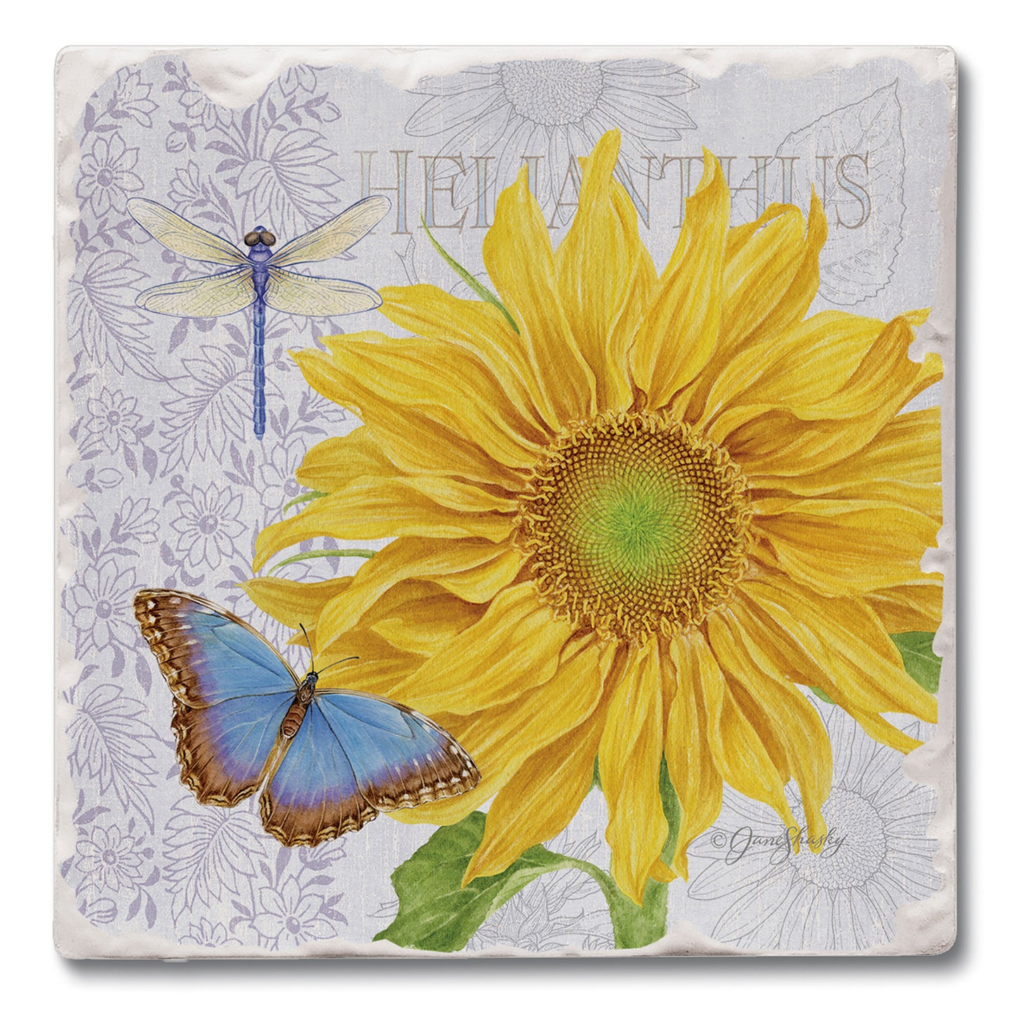 Absorbent Square Coasters