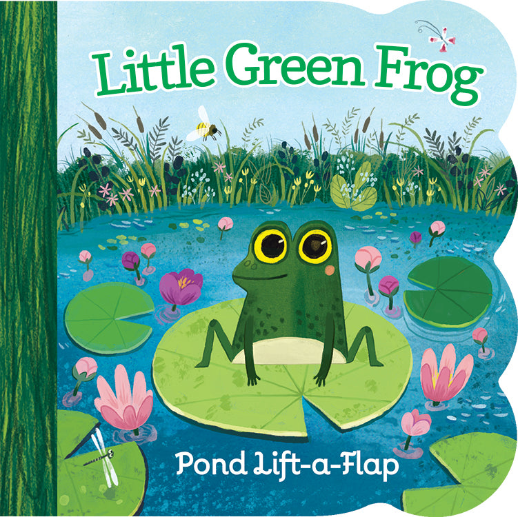 Lift-a-Flap Books