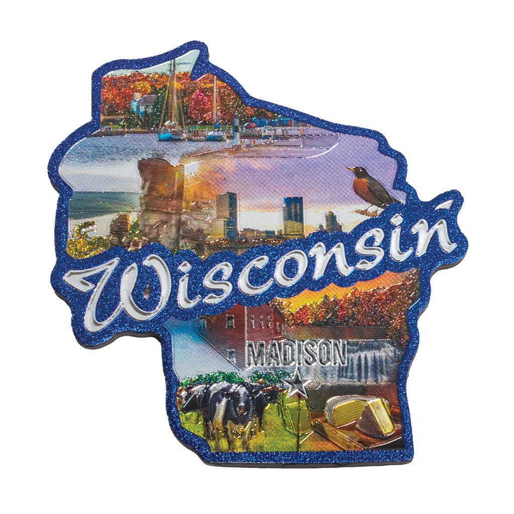 Wisconsin Foil Magnet