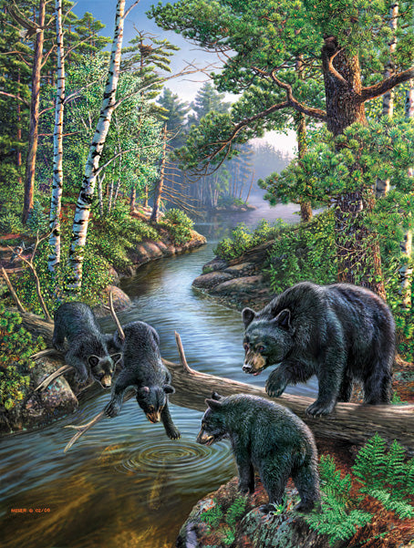 Sunsout 500 Piece Puzzles
