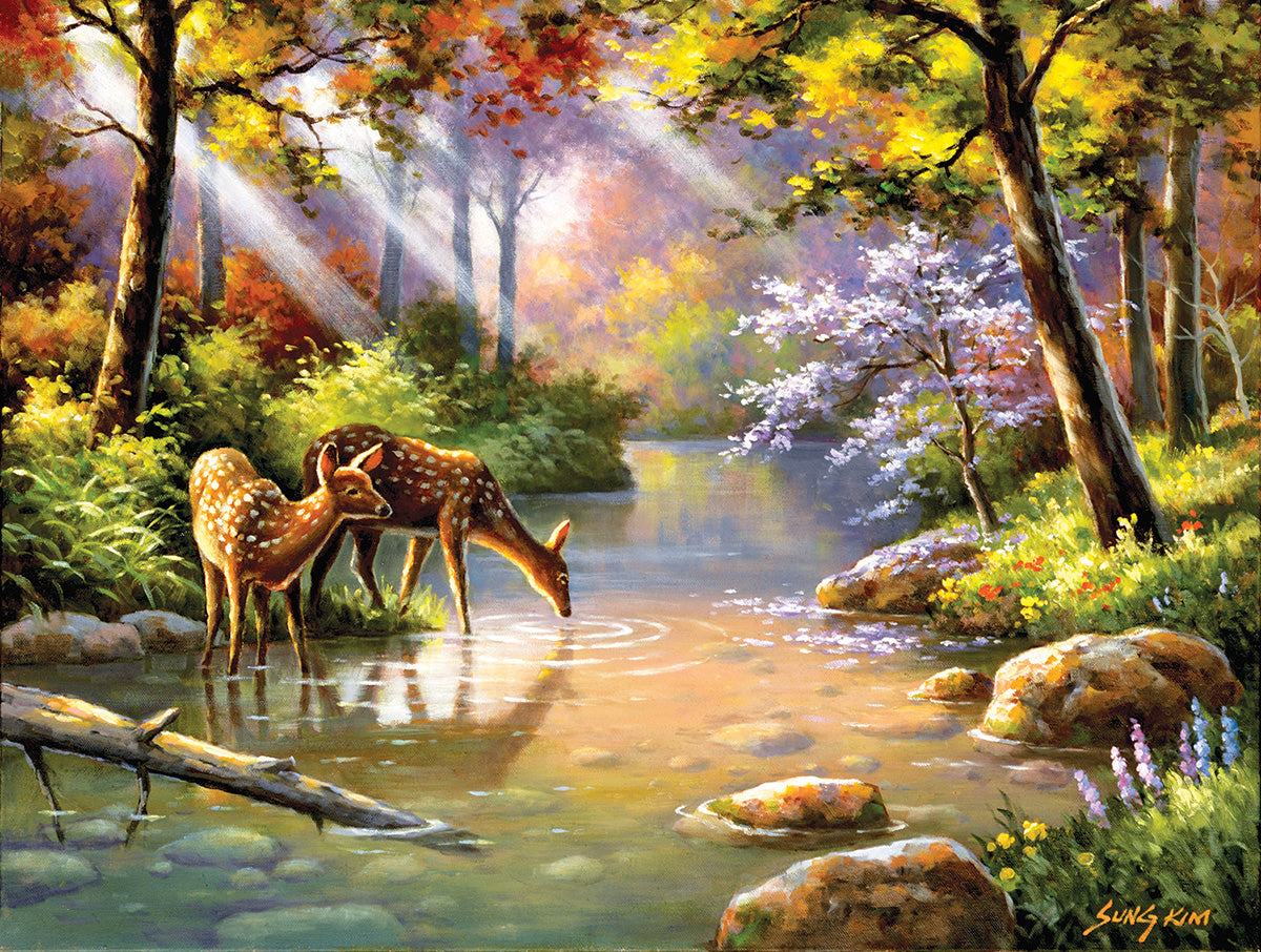 Sunsout 300 Piece Puzzles
