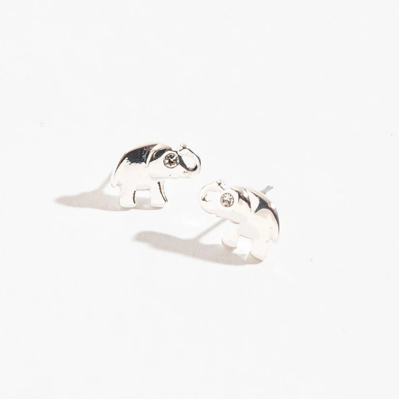 Ear Sense Earrings