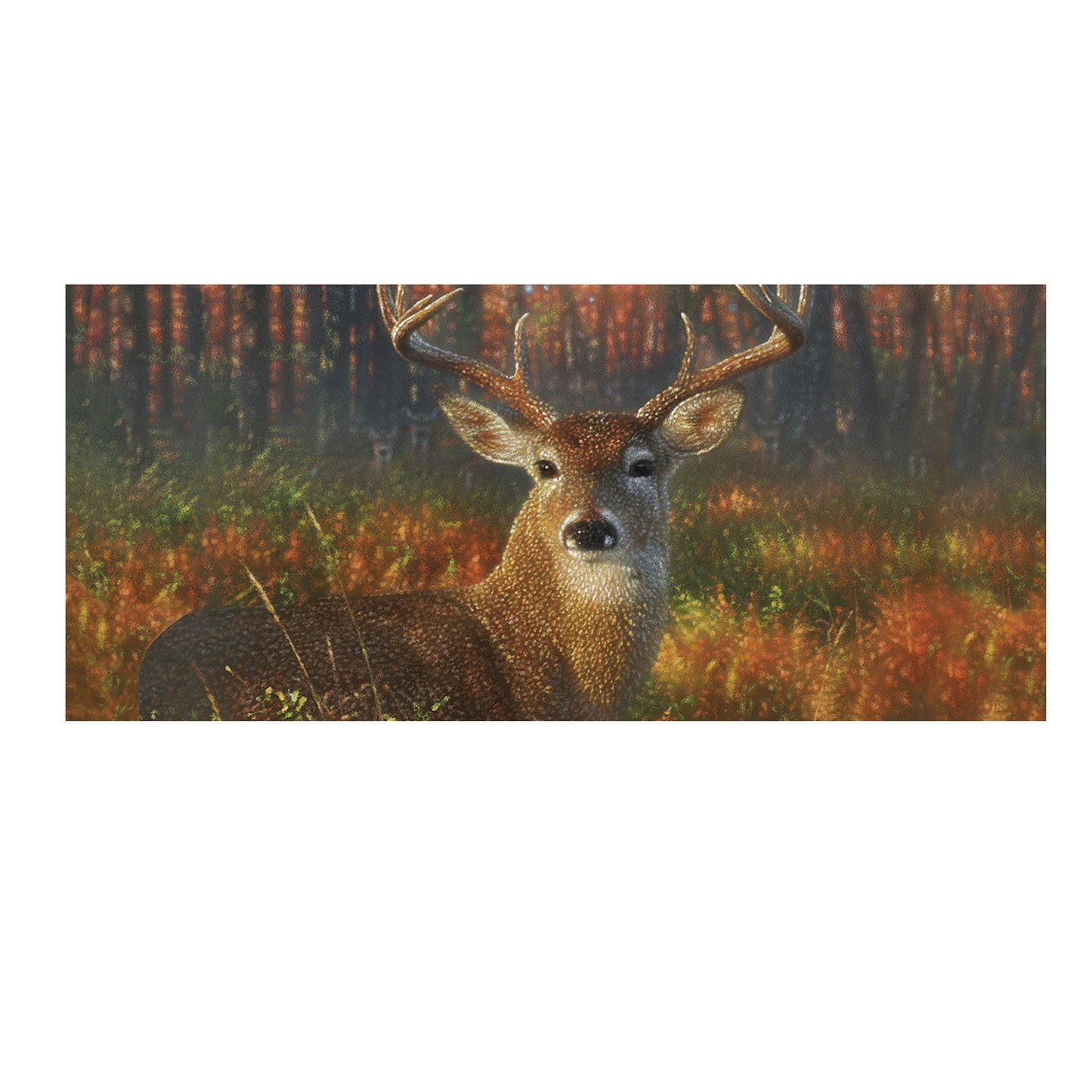 Sassafras Switch Mats