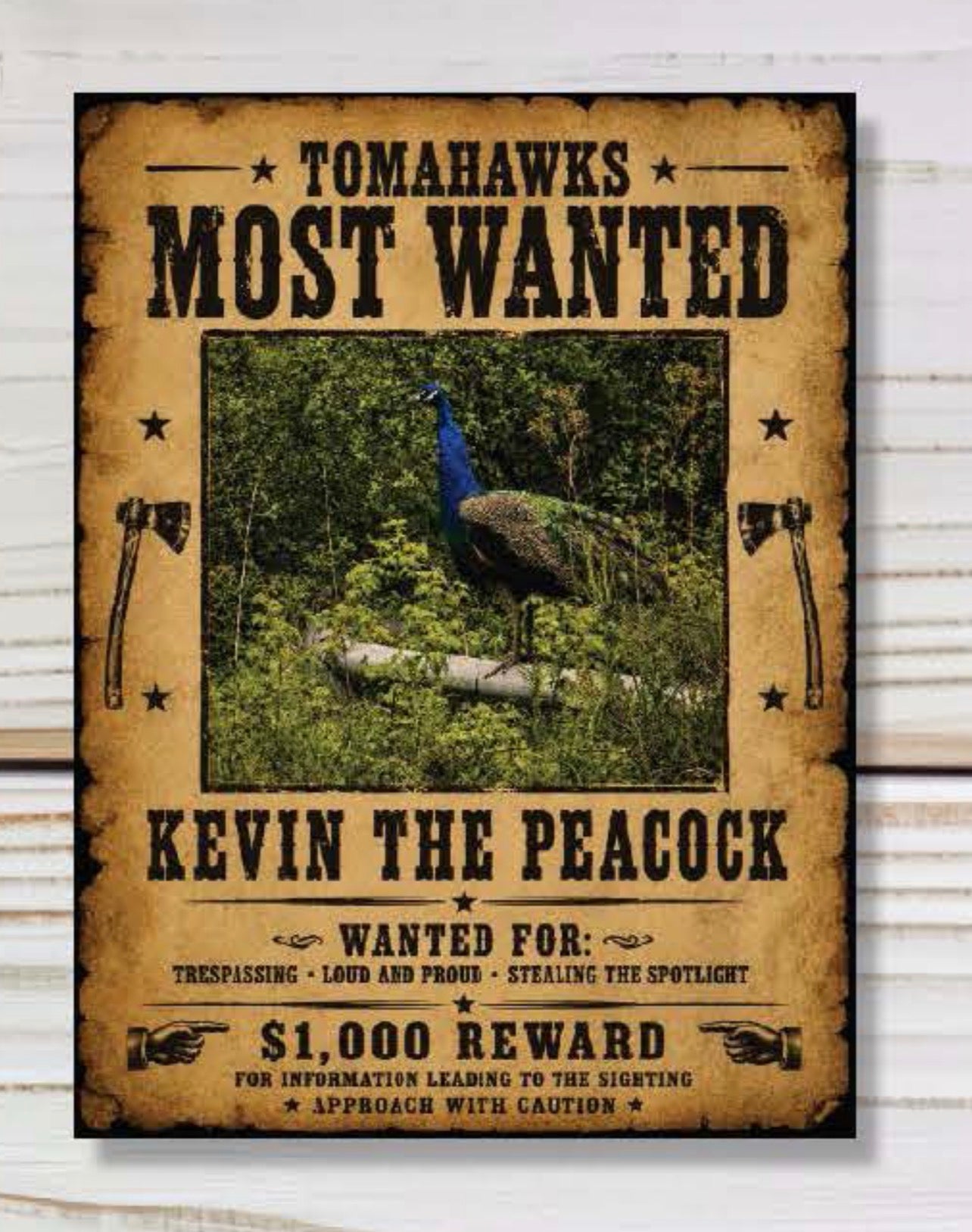 Kevin The Peacock Wanted Sticker