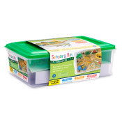 Sensory Bins