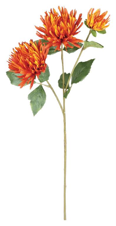 Spider Mum Spray