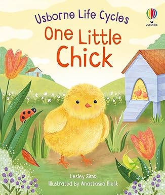 Usborne Life Cycles