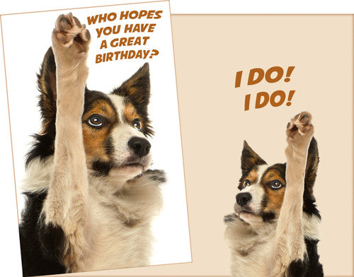 Stockwell 99 ₵ Birthday Cards