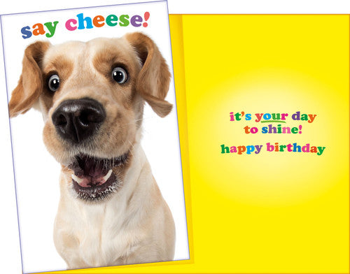 Stockwell 99 ₵ Birthday Cards