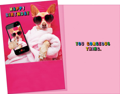 Stockwell 99 ₵ Birthday Cards