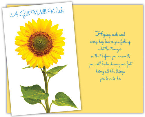 Stockwell 99 ₵ Holiday Cards