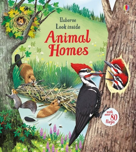 Usborne Lift-The-Flap Look Inside