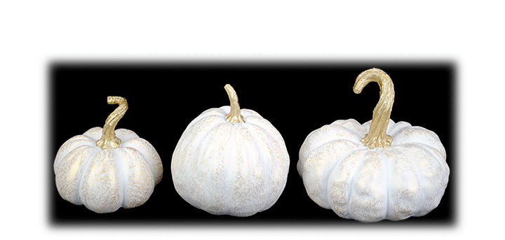 Golden Stem Pumpkin