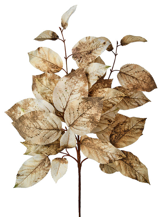Autumn Salal Leaf Pick