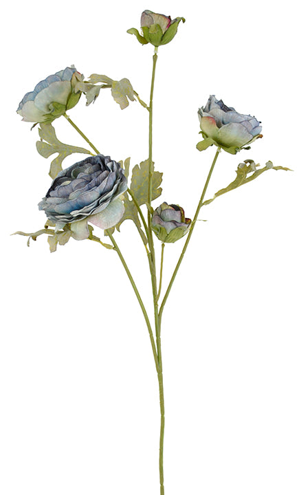 Ranuculus Spray