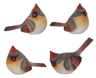 Female Cardinal Bird Decor
