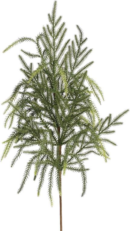 Pine Spray