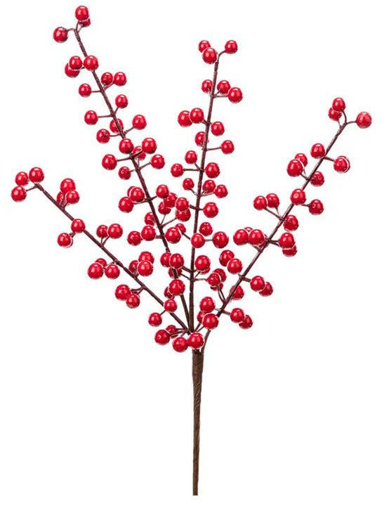 Red Berry Spike