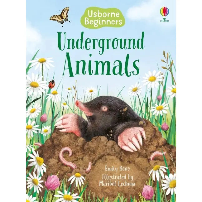 Usborne Beginners