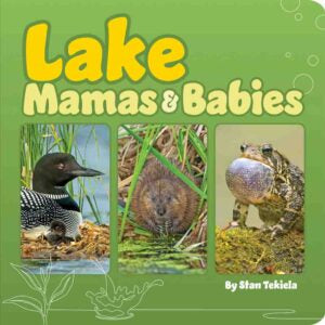 Nature Baby Board Books