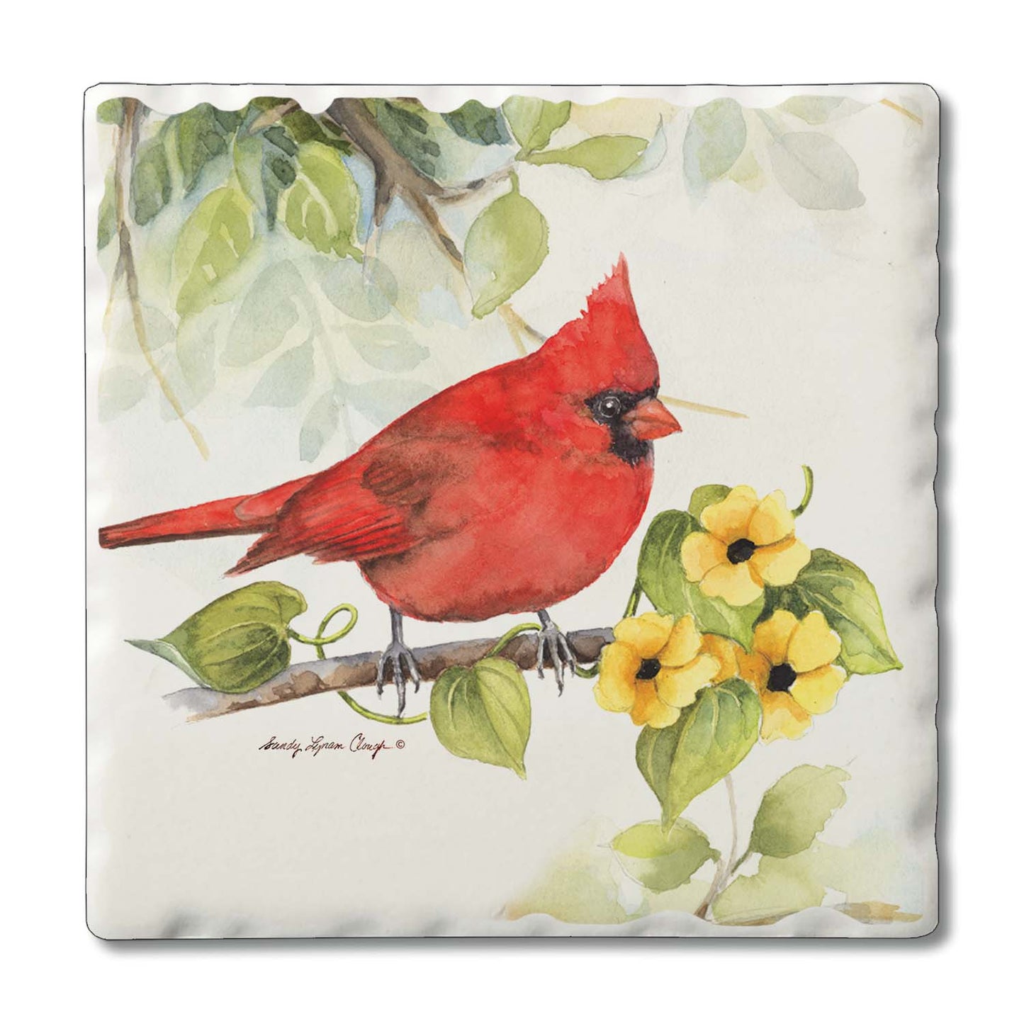 Absorbent Square Coasters