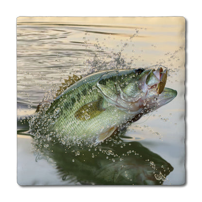 Absorbent Square Coasters