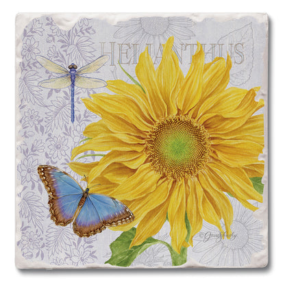 Absorbent Square Coasters