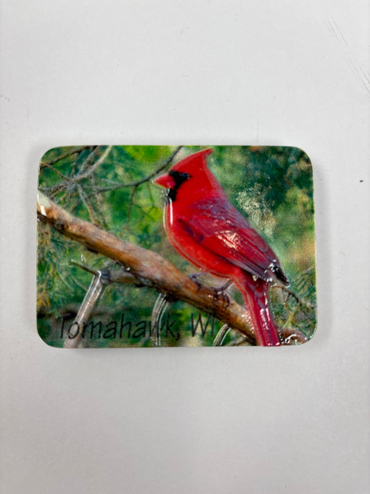 Tomahawk Cardinal Magnet