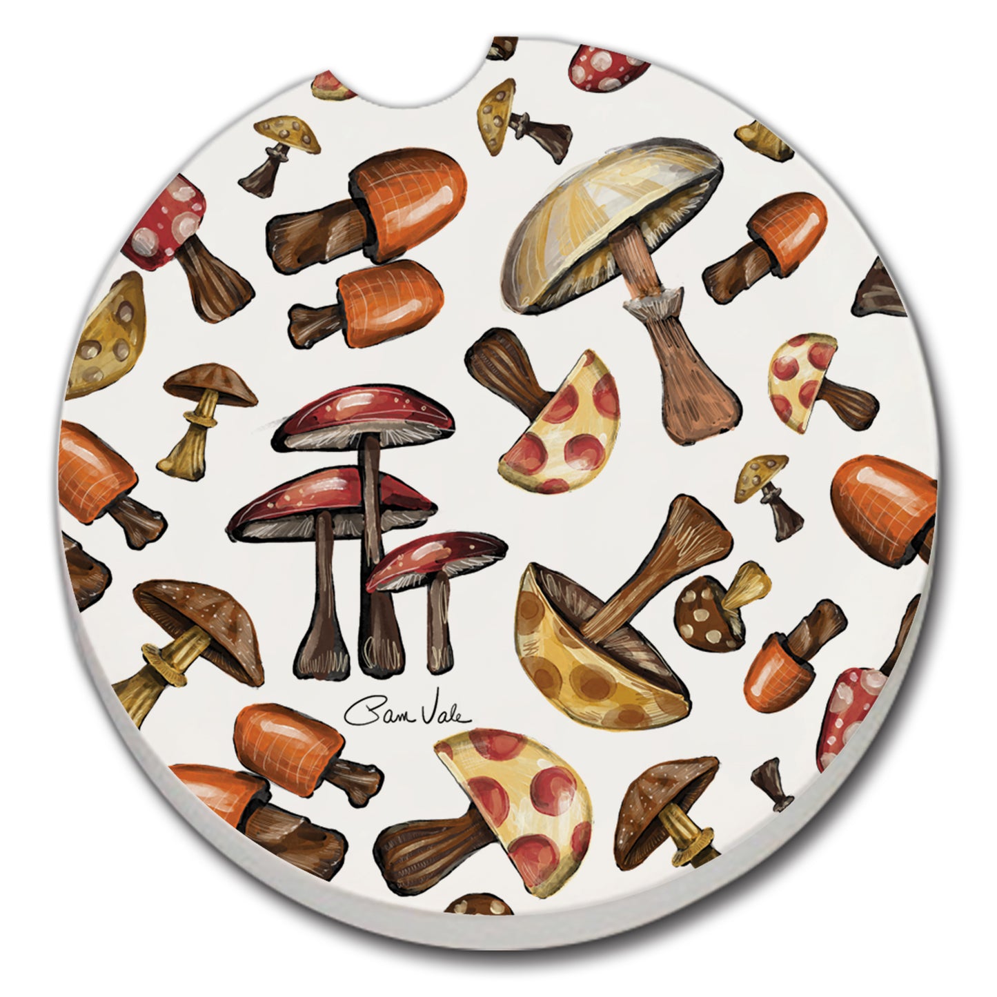 Thirstystone Car Coasters