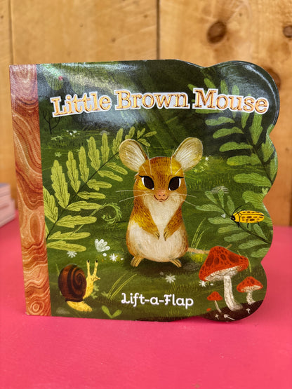 Lift-a-Flap Books