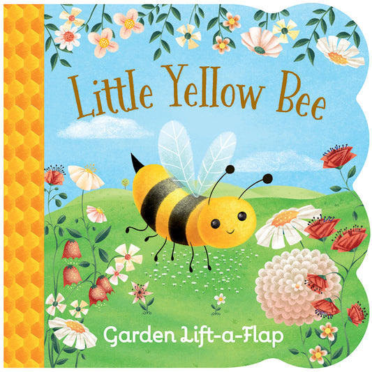 Lift-a-Flap Books