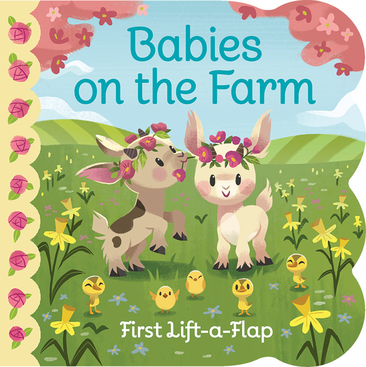 Lift-a-Flap Books