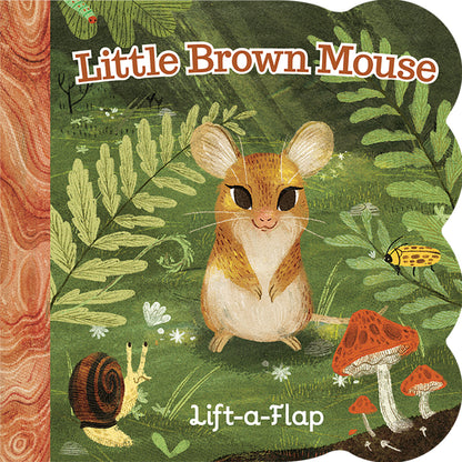 Lift-a-Flap Books