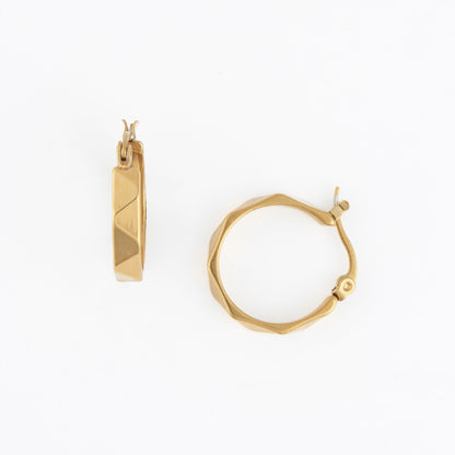 Narelle Waterproof Jewelry - Earrings 19.99