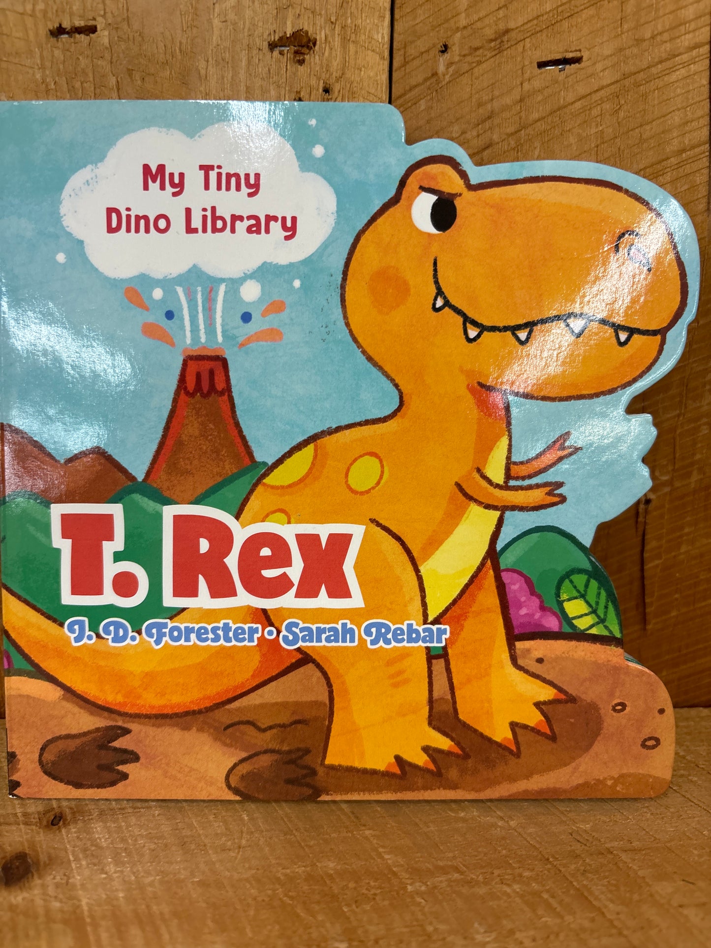 My Tiny Dino Library Books