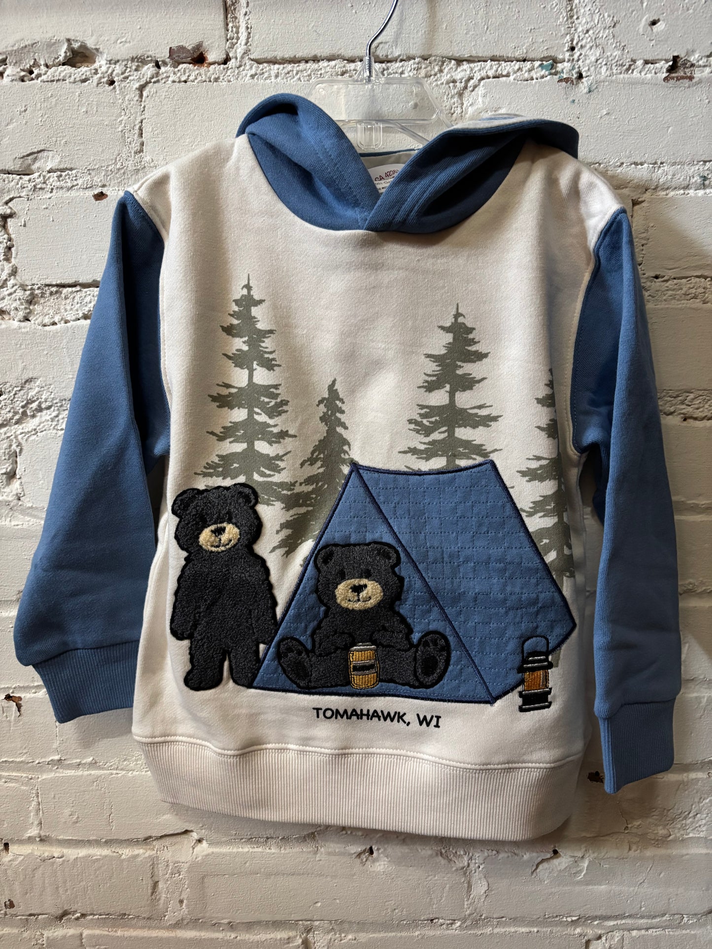 Toddler Bear Camping Hoodie