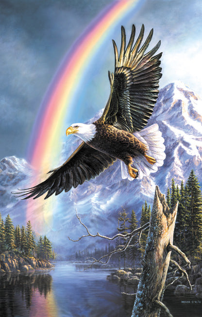 Sunsout 1000 Piece Puzzles