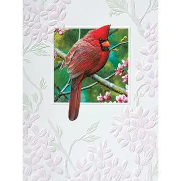 Pumpernickel Press Boxed Cards