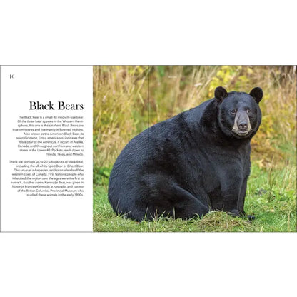 Bears of North America