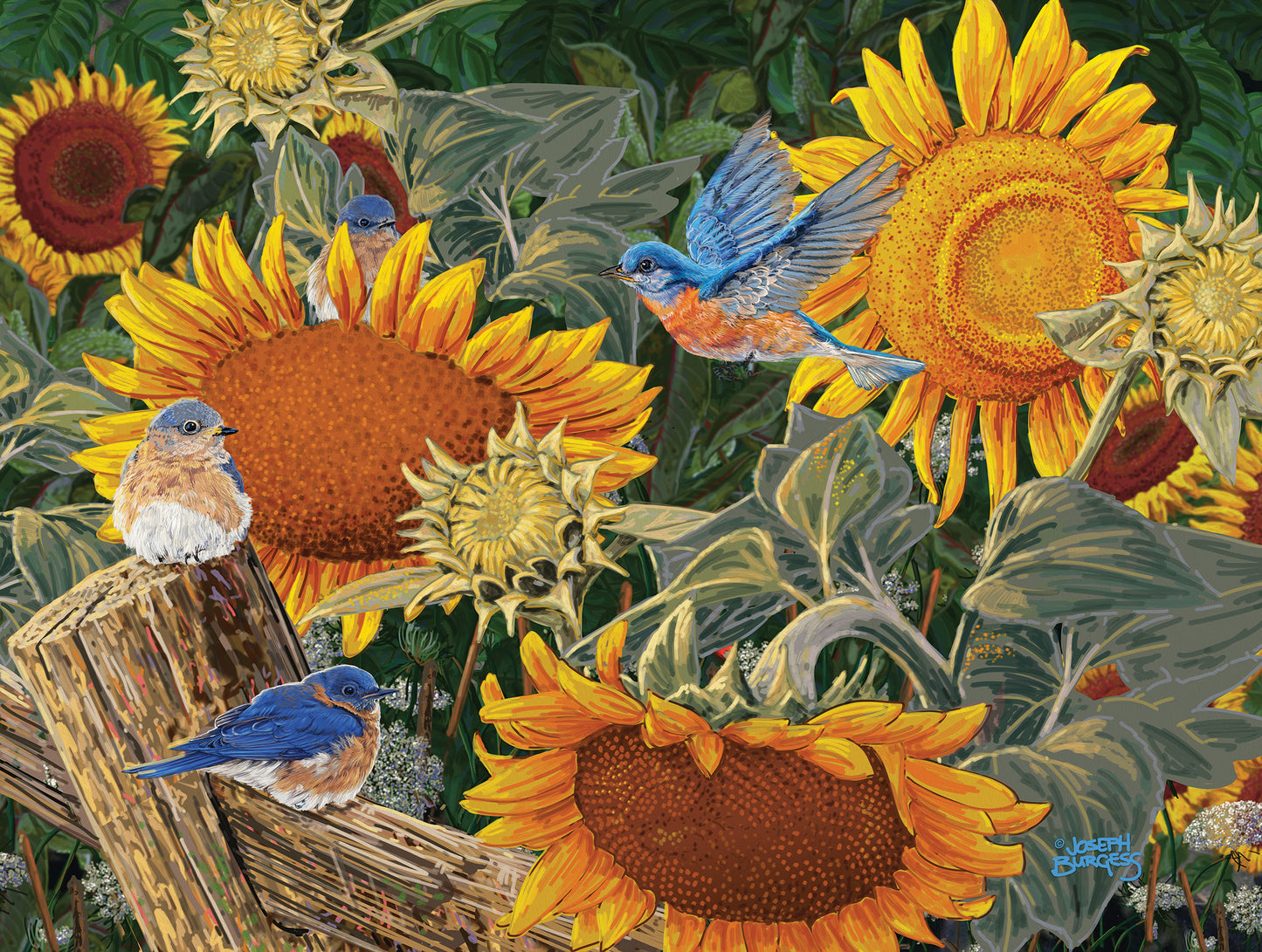 Sunsout 300 Piece Puzzles