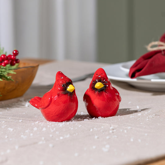 Ceramic Salt and Pepper Shakers