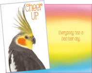 Stockwell 99 ₵ Holiday Cards