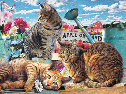 Sunsout 300 Piece Puzzles