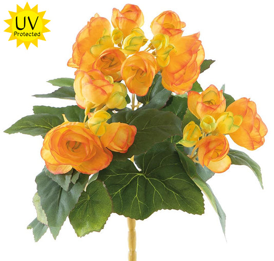 Orange Begonia Bush