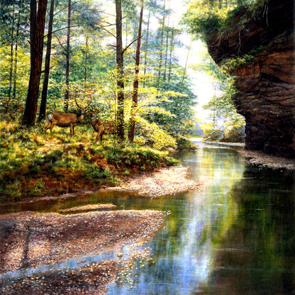 Sunsout 1000 Piece Puzzles
