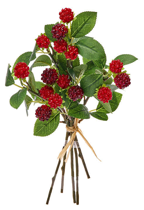 Wild Raspberry Bundle