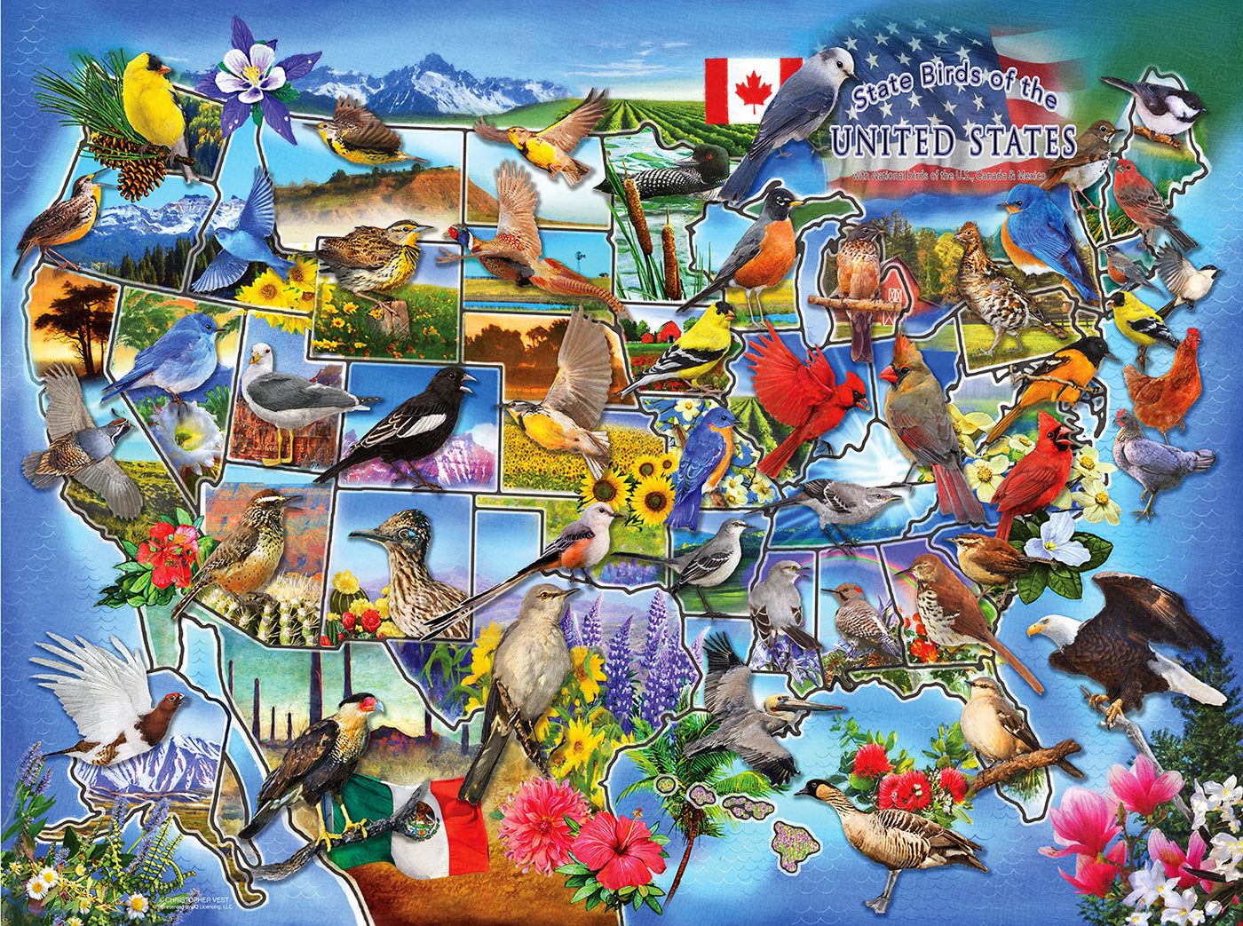Sunsout 1000 Piece Puzzles