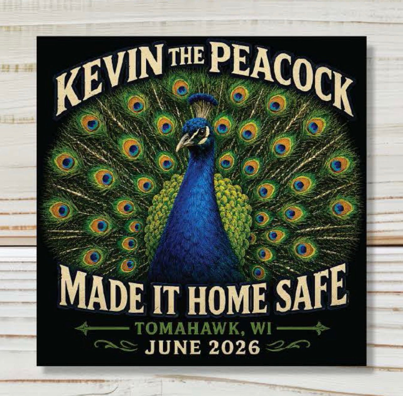 Kevin The Peacock Sticker